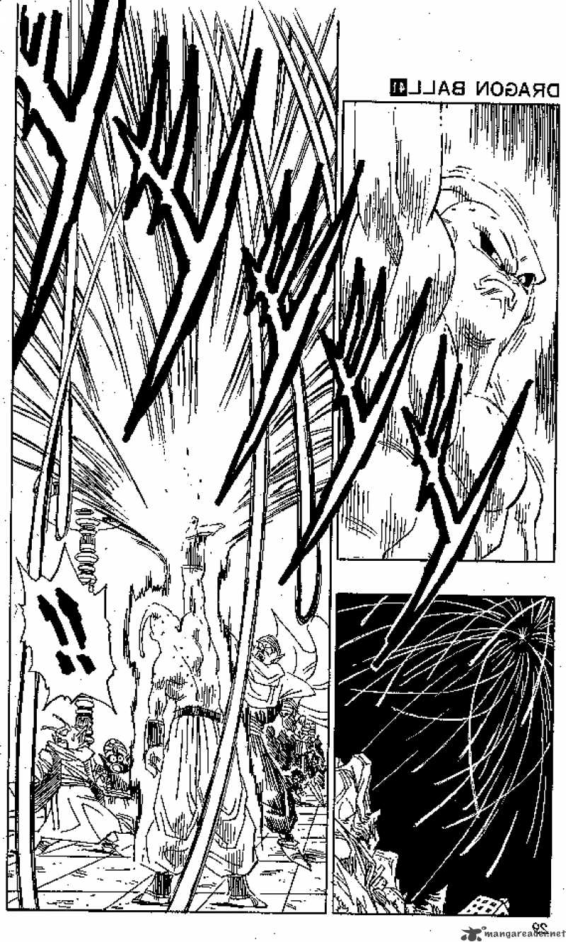 Dragon Ball 488 9