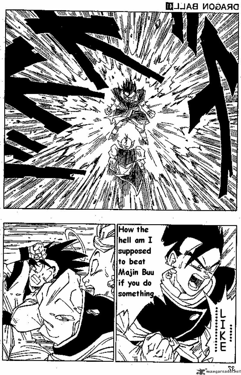 Dragon Ball 489 3