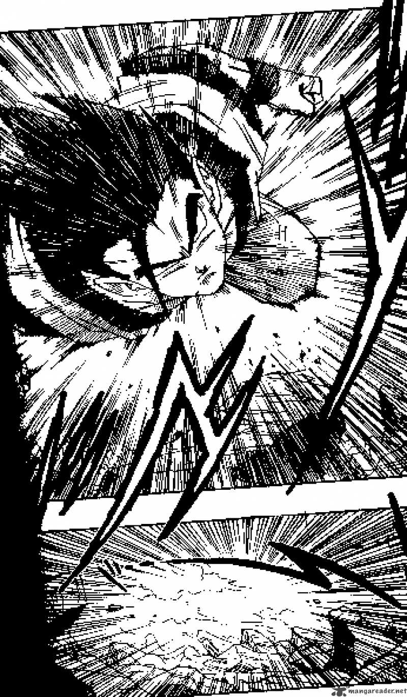 Dragon Ball 497 11