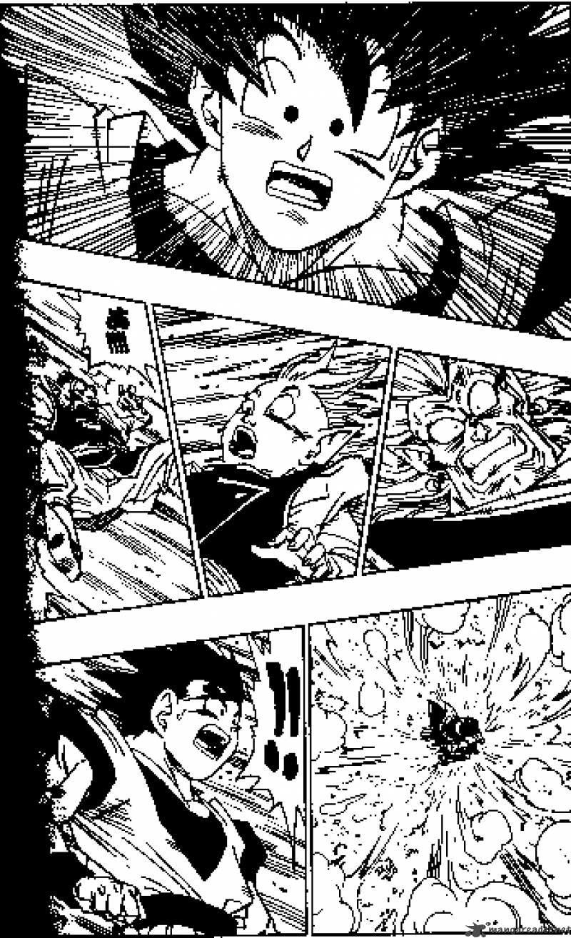 Dragon Ball 497 5