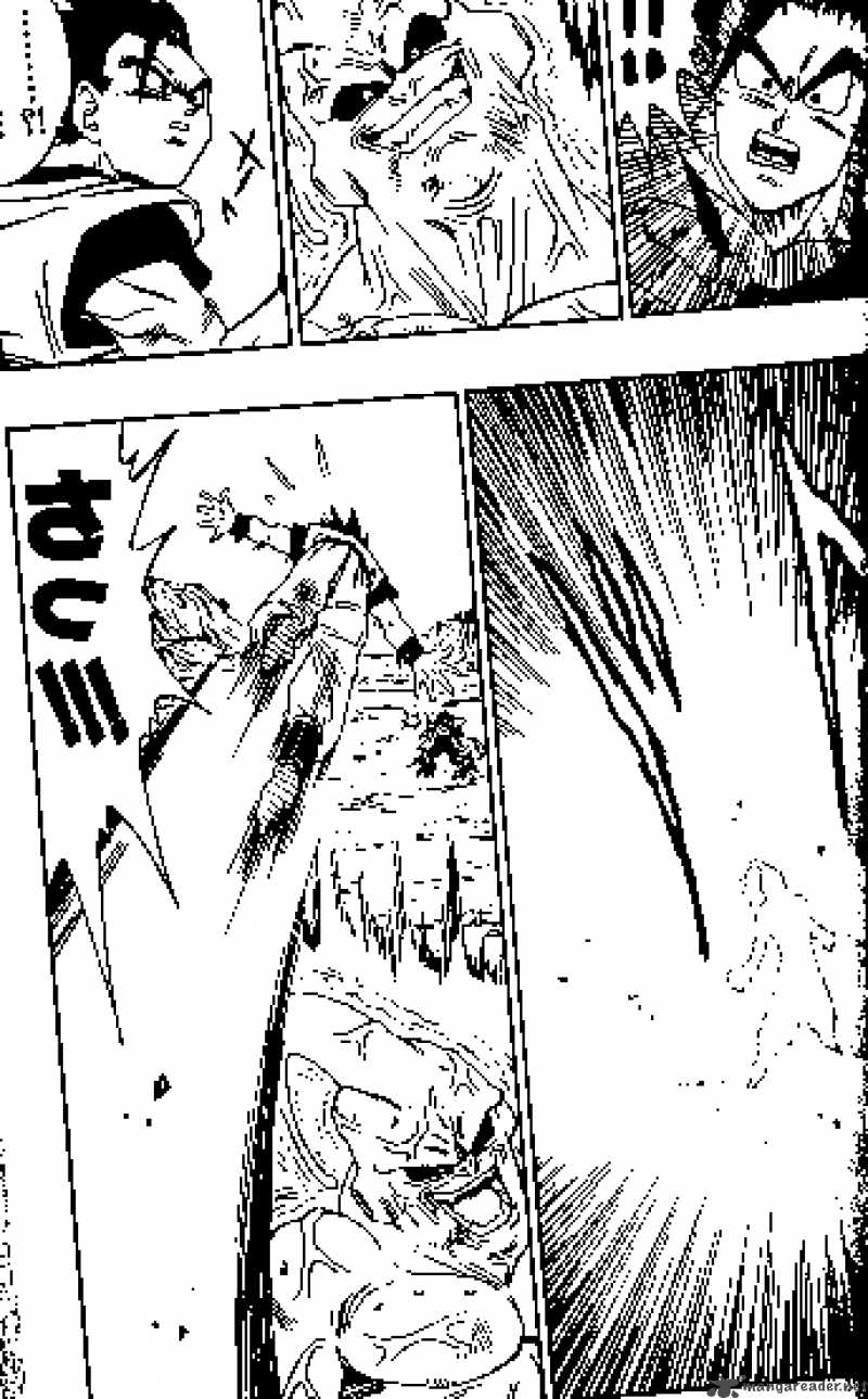 Dragon Ball 499 4
