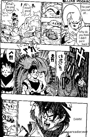 Dragon Ball 503 11