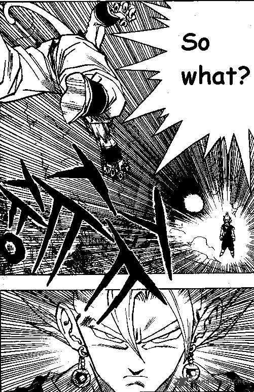 Dragon Ball 505 3