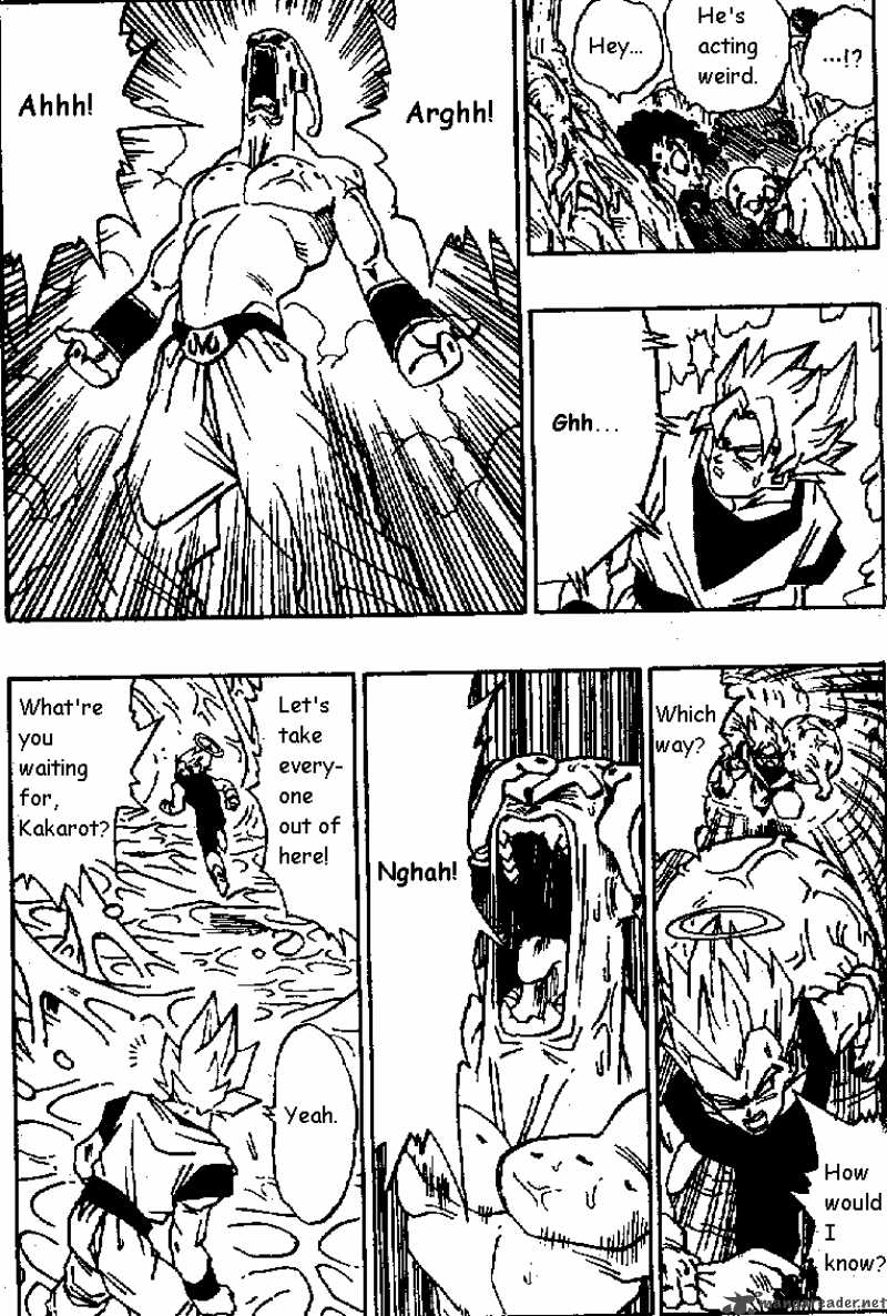 Dragon Ball 508 10