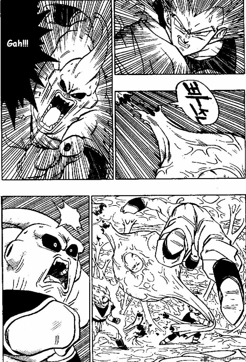 Dragon Ball 508 8