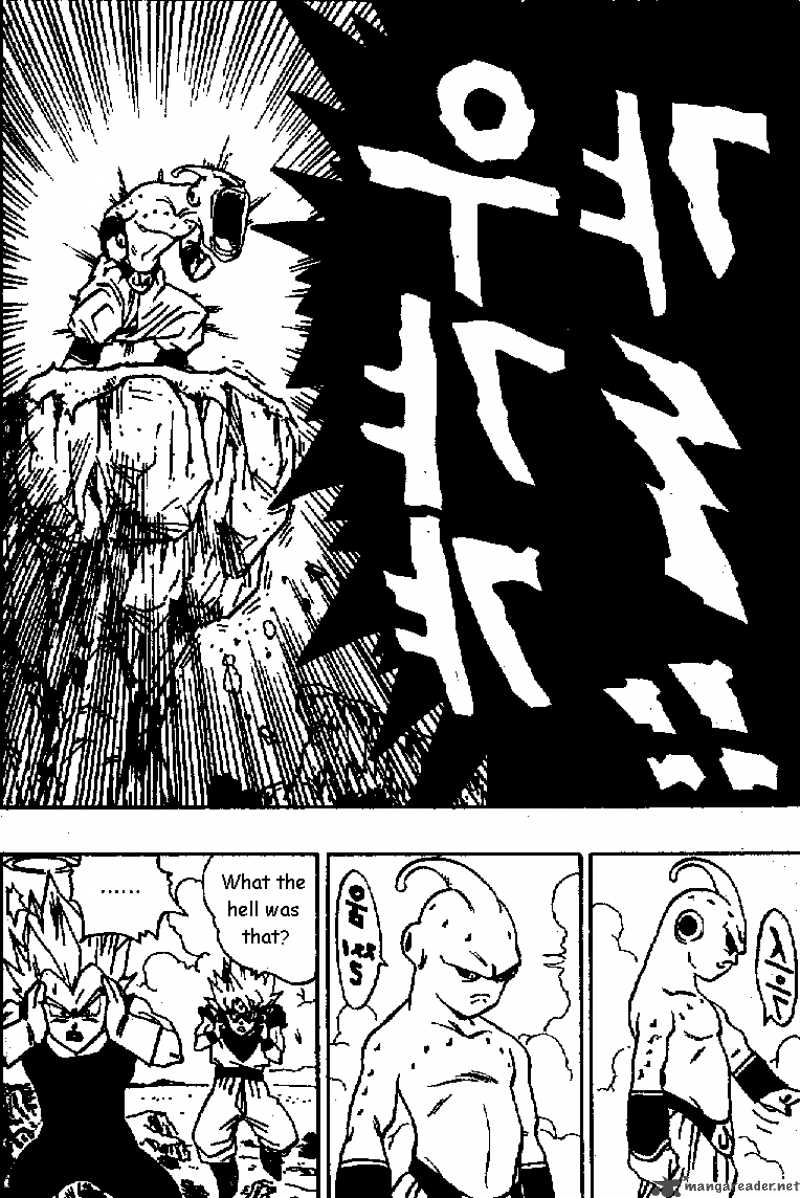 Dragon Ball 509 5