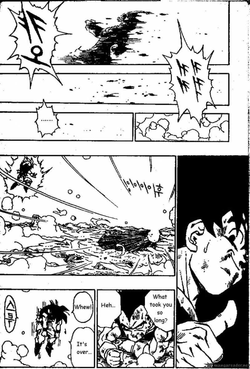 Dragon Ball 517 13