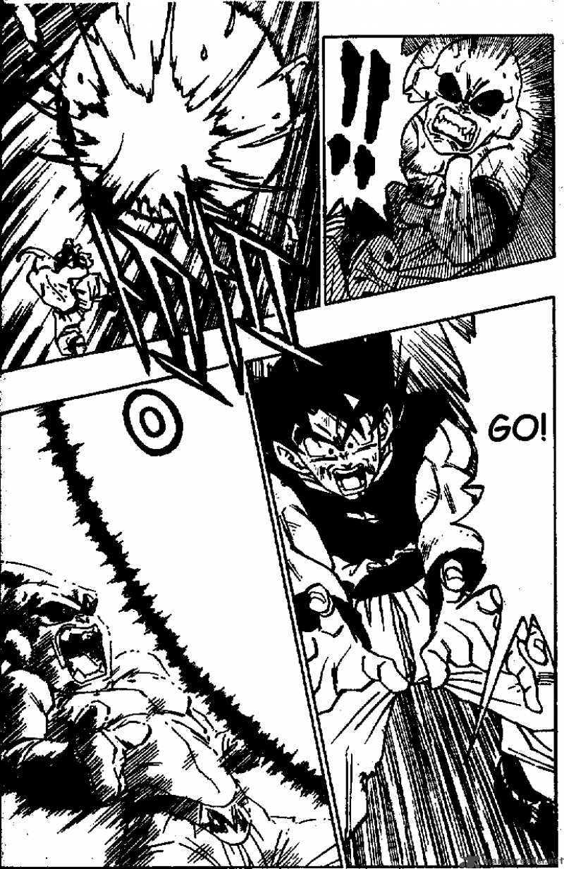 Dragon Ball 517 5