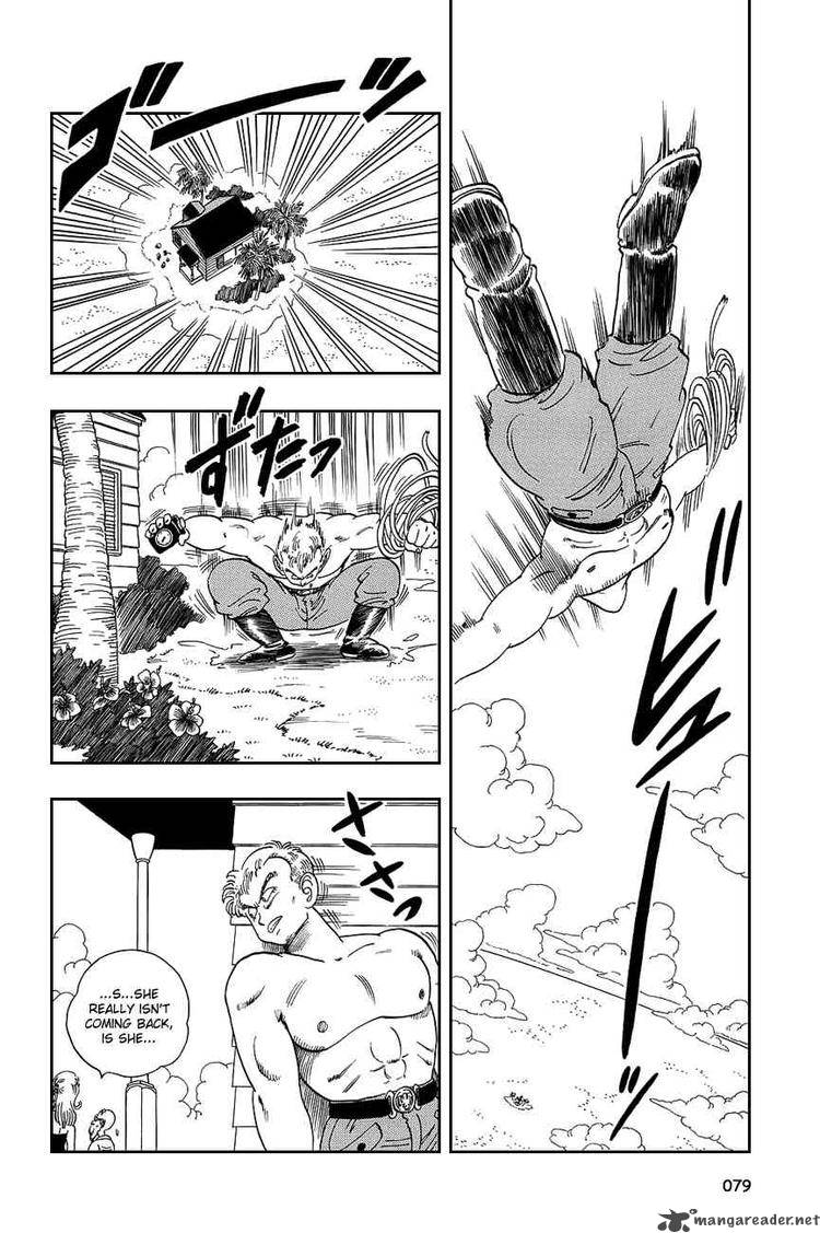 Dragon Ball 80 6