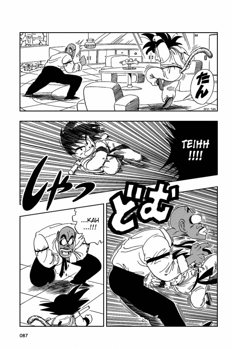 Dragon Ball 95 14