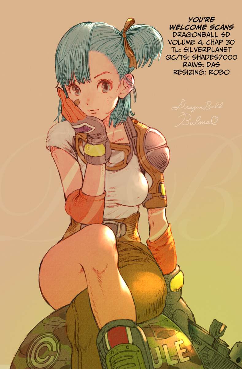 Dragon Ball Sd 30 19