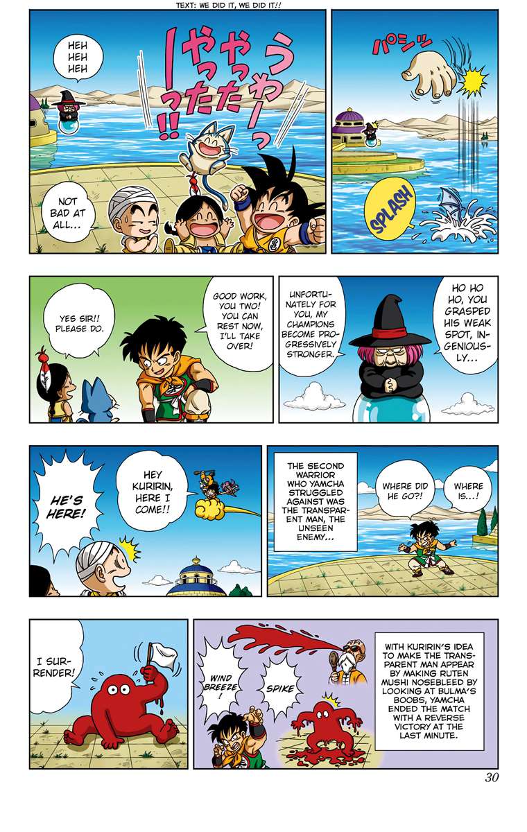 Dragon Ball Sd 30 9