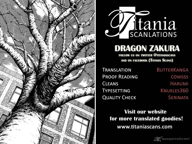 Dragon Zakura 40 22