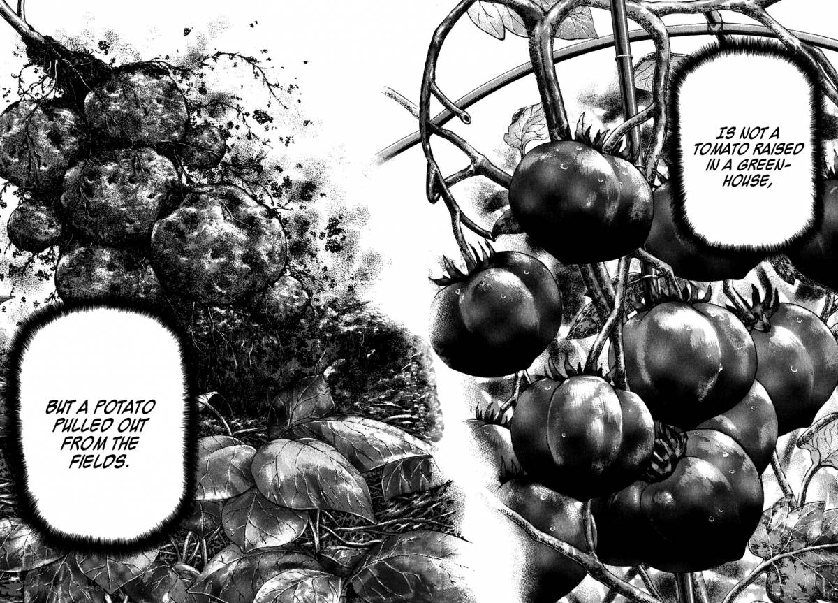 Dragon Zakura 42 14