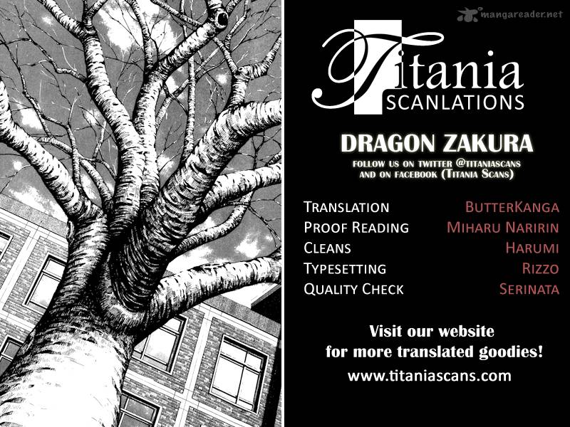 Dragon Zakura 52 24