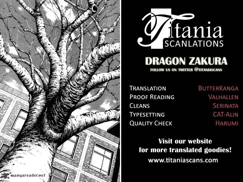 Dragon Zakura 65 23