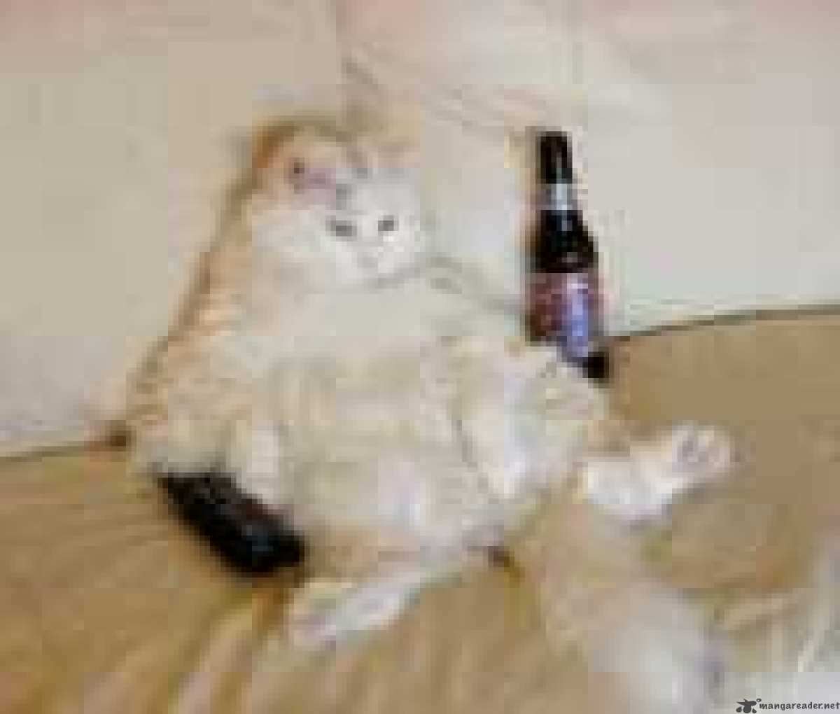 Drunken King 5 23