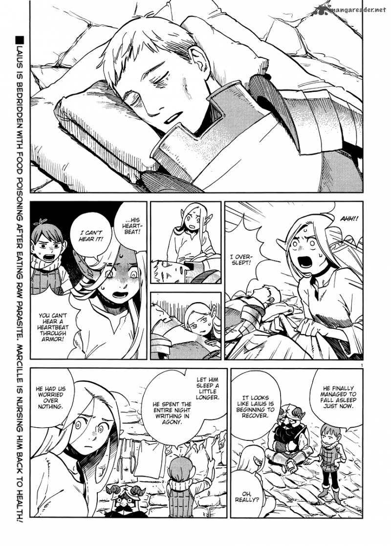 Dungeon Meshi 17 1