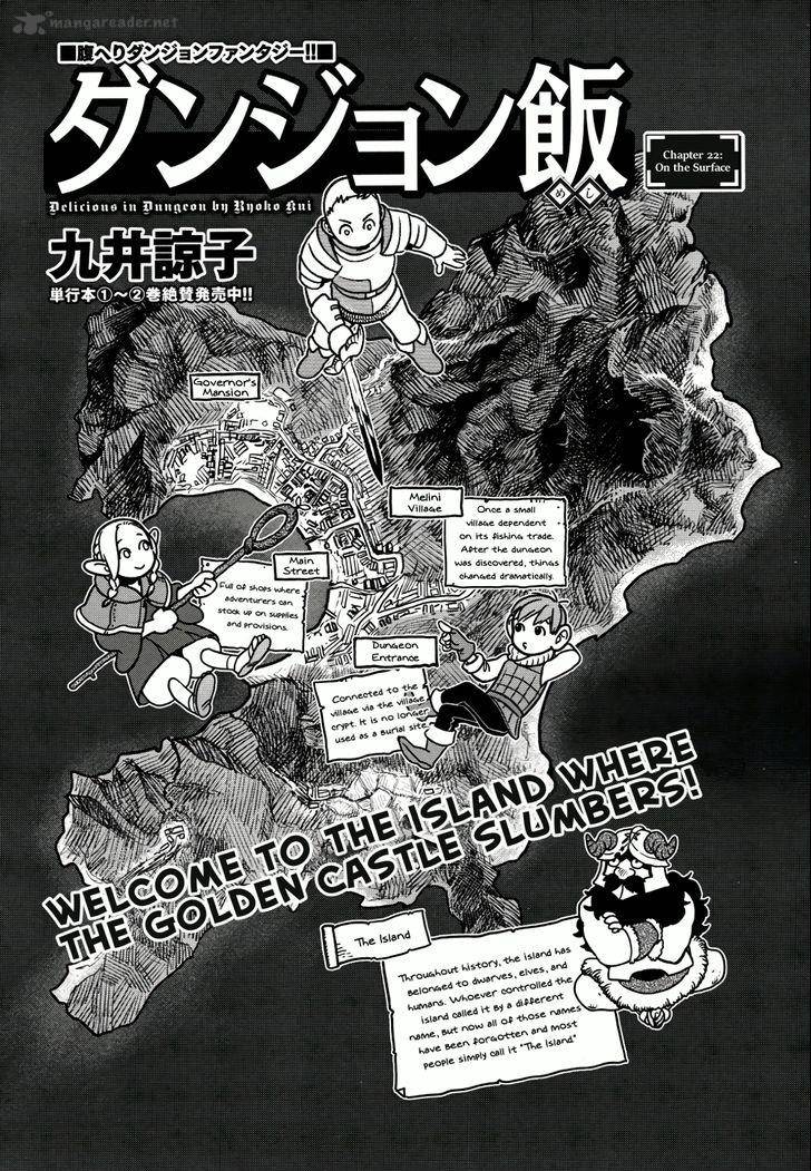 Dungeon Meshi 22 1
