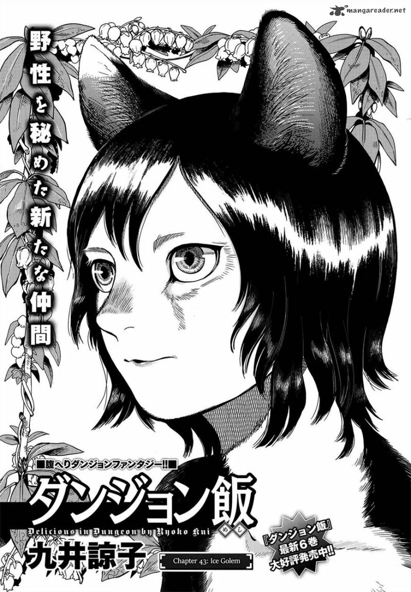 Dungeon Meshi 43 1