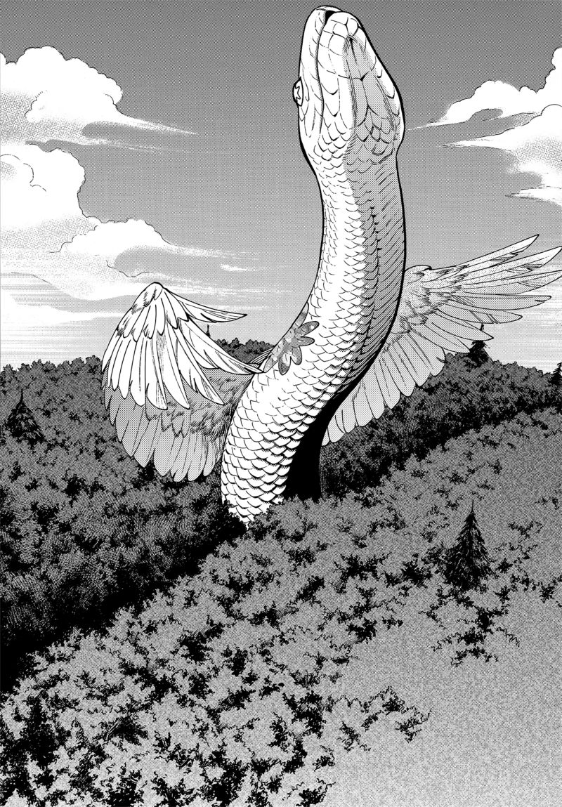 Dungeon Meshi 82 7