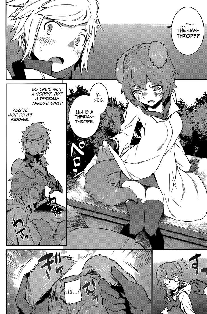 Dungeon Ni Deai Wo Motomeru No Wa Machigatte Iru Darou Ka 16 17