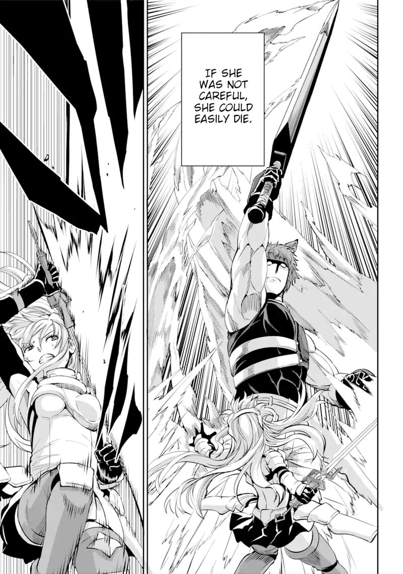 Dungeon Ni Deai Wo Motomeru No Wa Machigatte Iru Darou Ka Gaiden Sword Oratoria 100 6