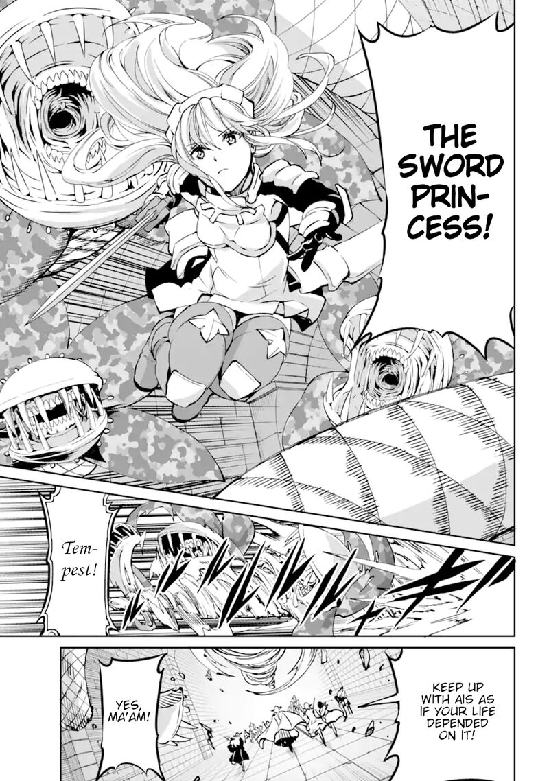 Dungeon Ni Deai Wo Motomeru No Wa Machigatte Iru Darou Ka Gaiden Sword Oratoria 101 25