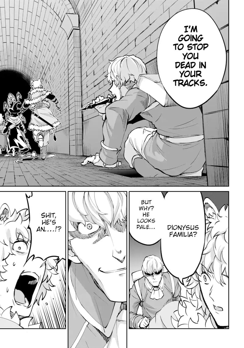 Dungeon Ni Deai Wo Motomeru No Wa Machigatte Iru Darou Ka Gaiden Sword Oratoria 101 33
