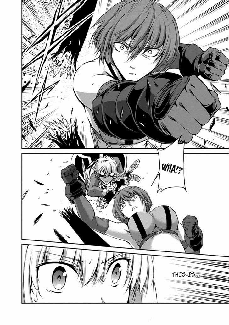 Dungeon Ni Deai Wo Motomeru No Wa Machigatte Iru Darou Ka Gaiden Sword Oratoria 14 14
