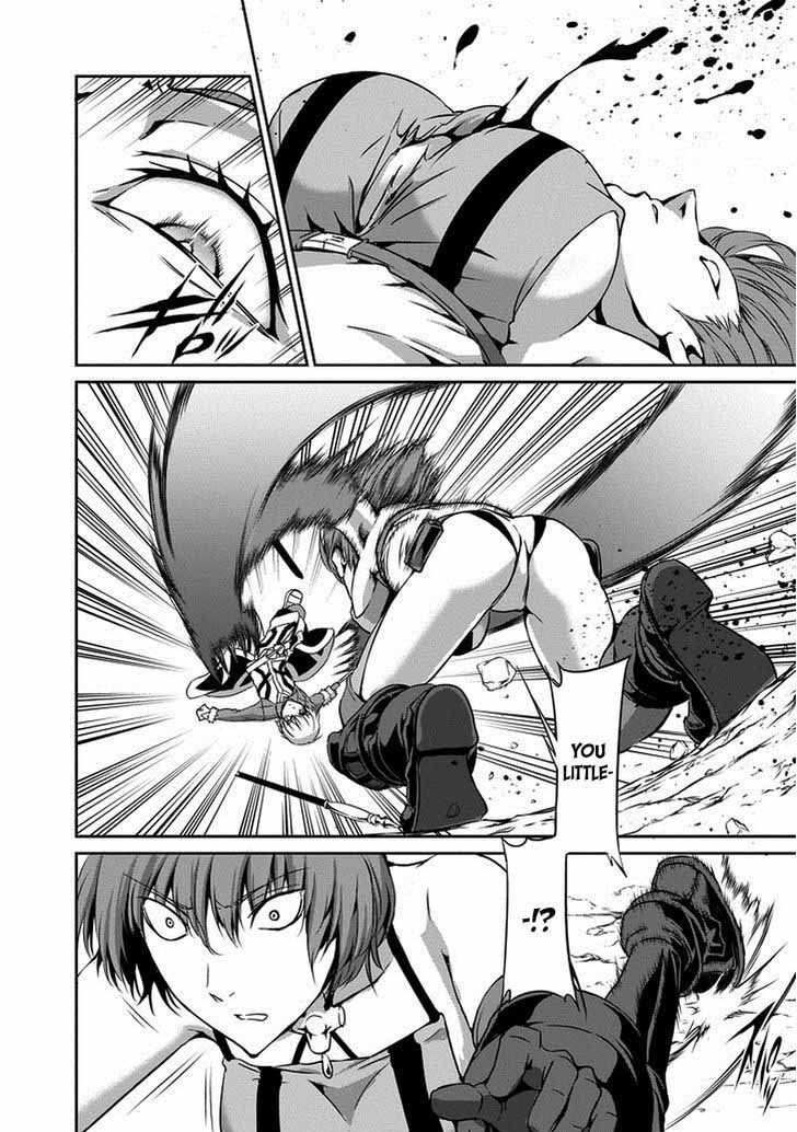 Dungeon Ni Deai Wo Motomeru No Wa Machigatte Iru Darou Ka Gaiden Sword Oratoria 14 16