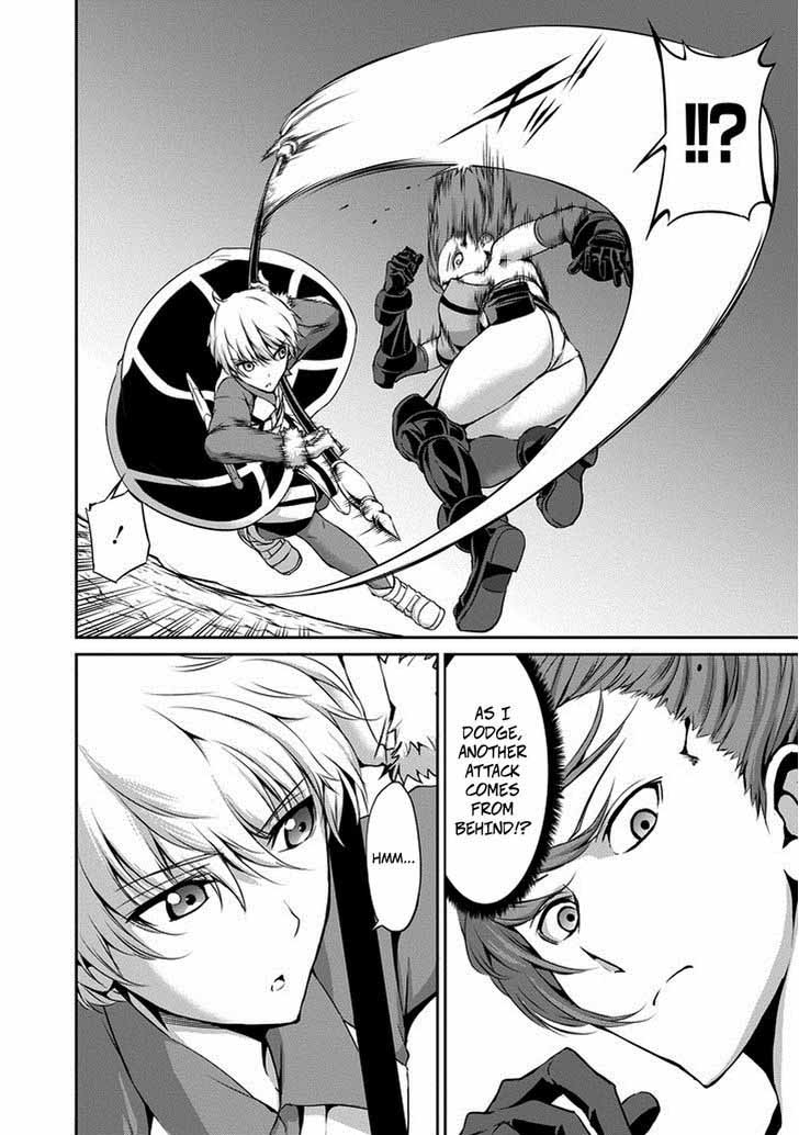 Dungeon Ni Deai Wo Motomeru No Wa Machigatte Iru Darou Ka Gaiden Sword Oratoria 14 8