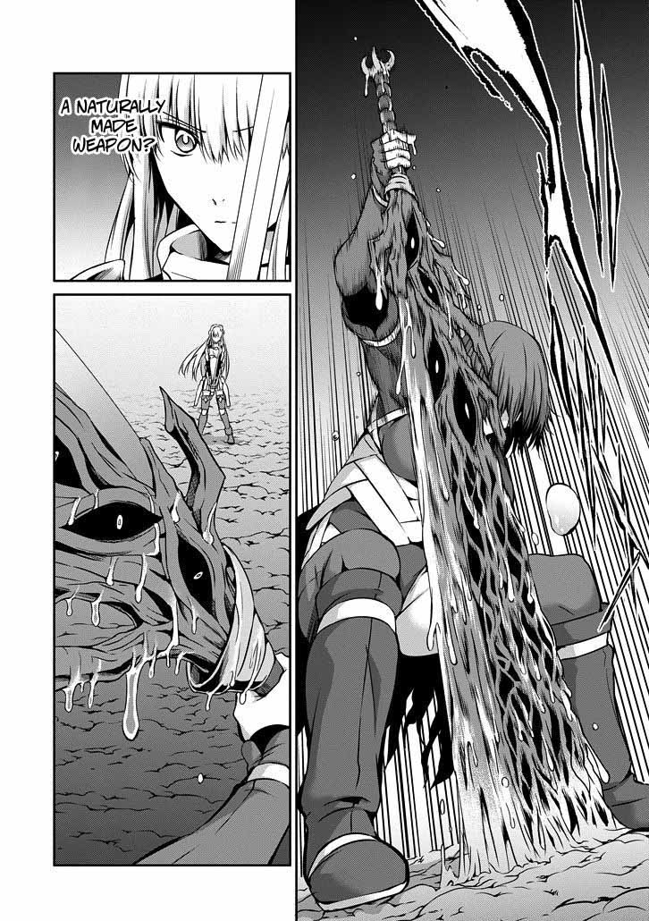 Dungeon Ni Deai Wo Motomeru No Wa Machigatte Iru Darou Ka Gaiden Sword Oratoria 22 6