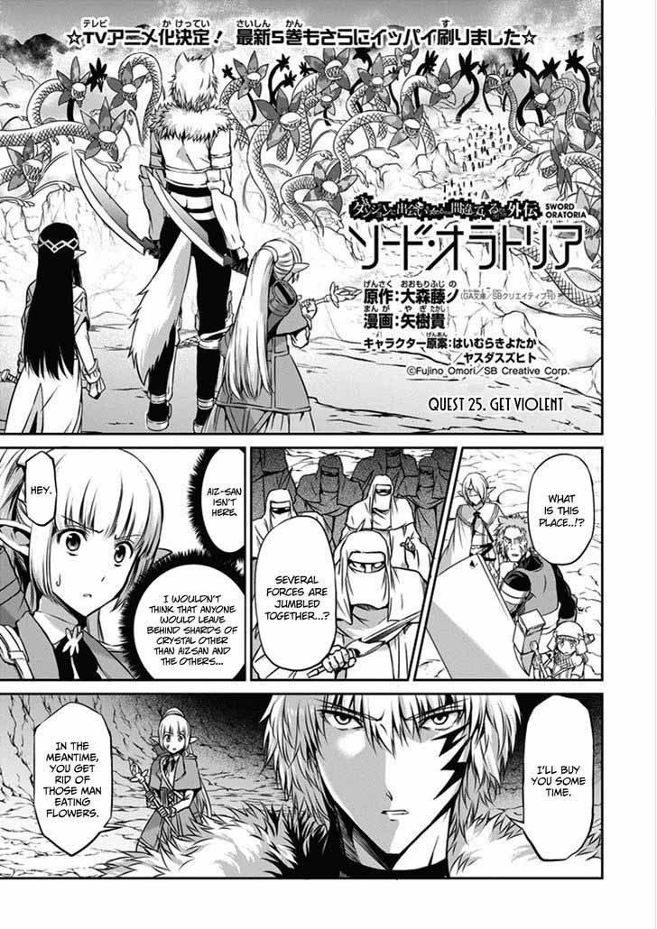 Dungeon Ni Deai Wo Motomeru No Wa Machigatte Iru Darou Ka Gaiden Sword Oratoria 25 3