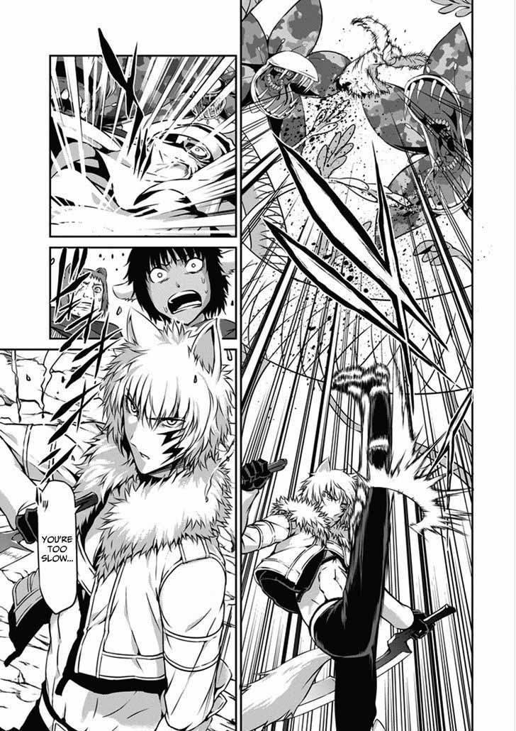 Dungeon Ni Deai Wo Motomeru No Wa Machigatte Iru Darou Ka Gaiden Sword Oratoria 25 5