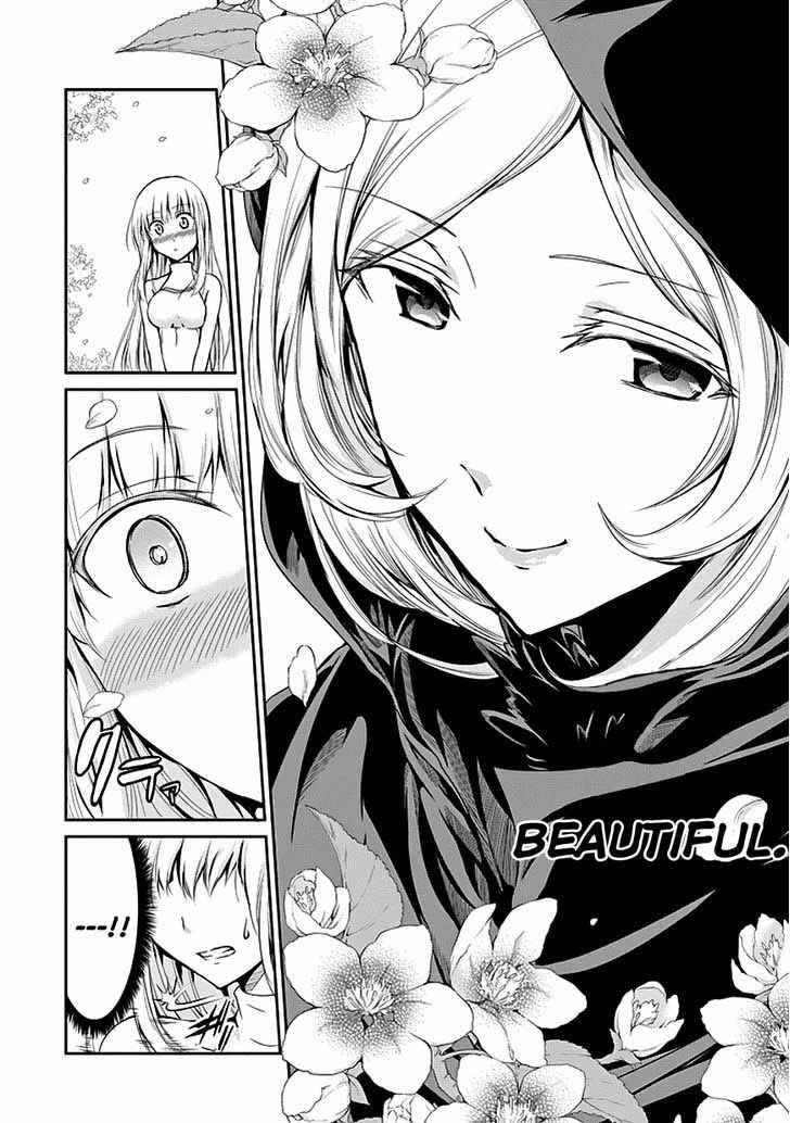 Dungeon Ni Deai Wo Motomeru No Wa Machigatte Iru Darou Ka Gaiden Sword Oratoria 7 15