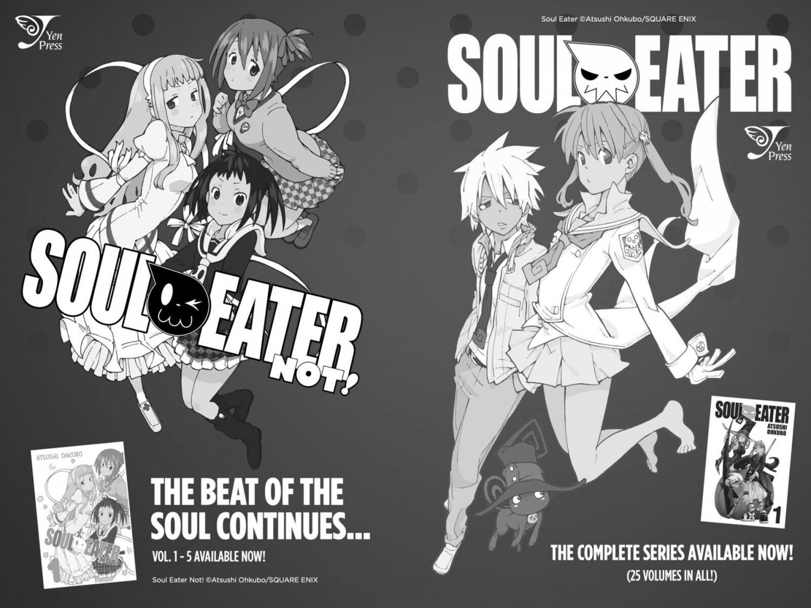 Durarara Re Dollars Hen 30 25