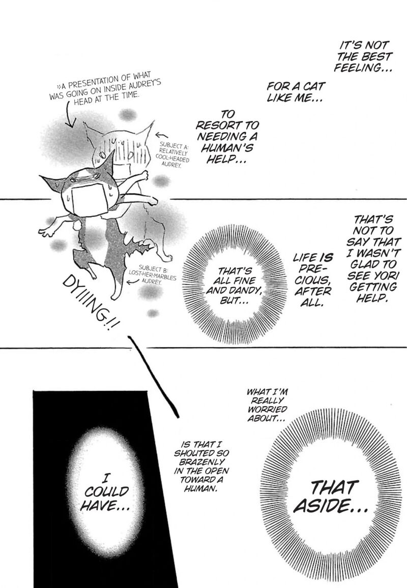 E No Shima Waikiki Shokudou 13 26