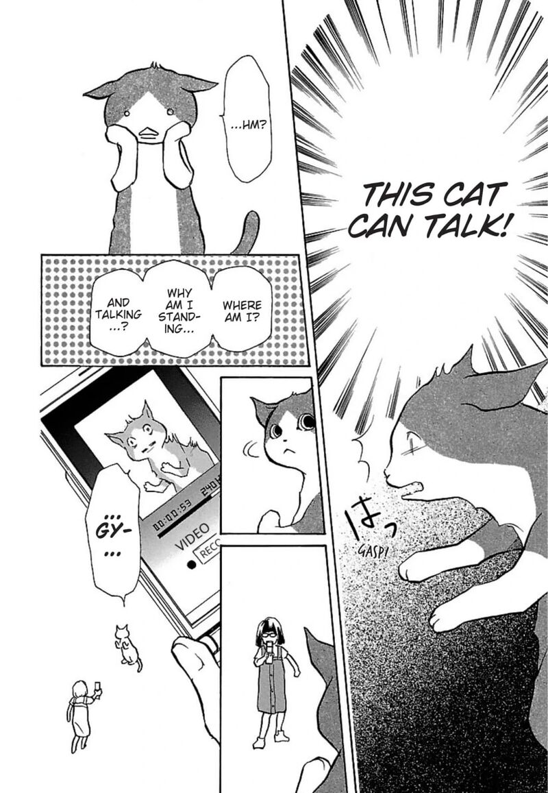 E No Shima Waikiki Shokudou 18 8