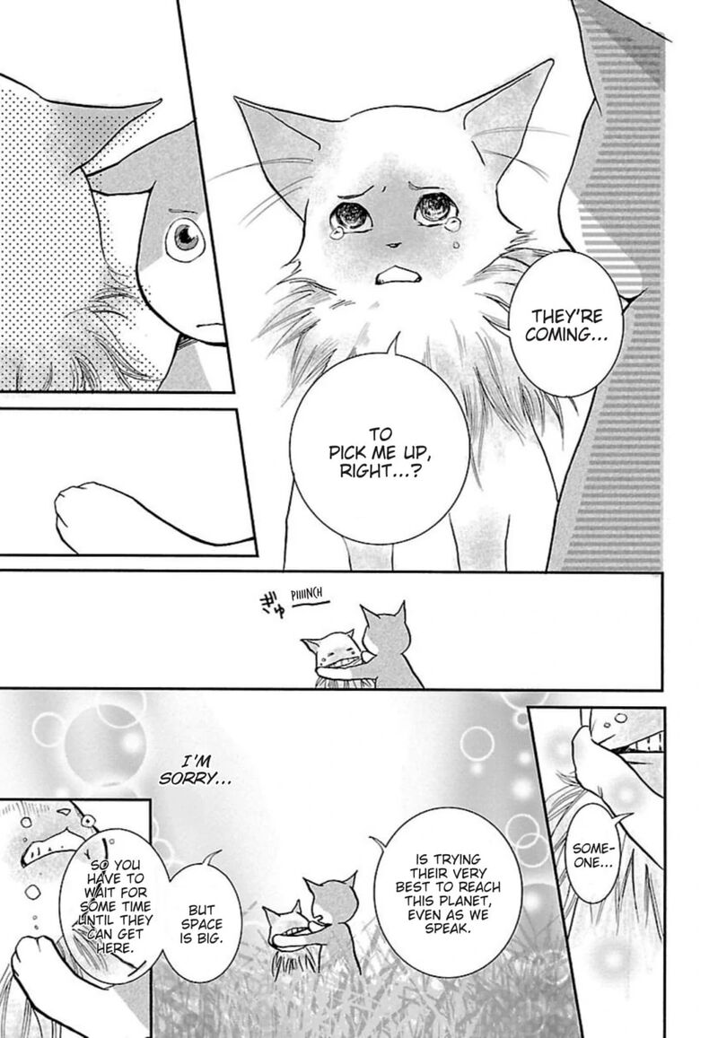 E No Shima Waikiki Shokudou 41 11