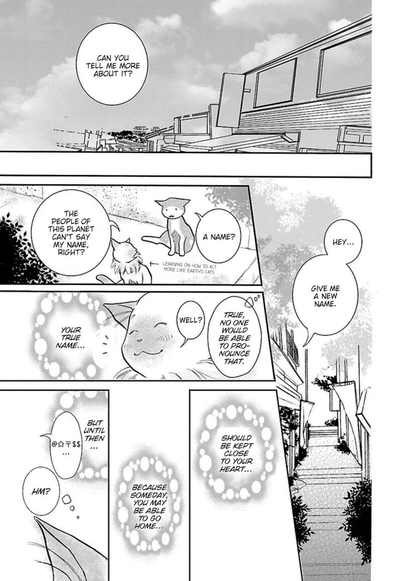 E No Shima Waikiki Shokudou 41 13