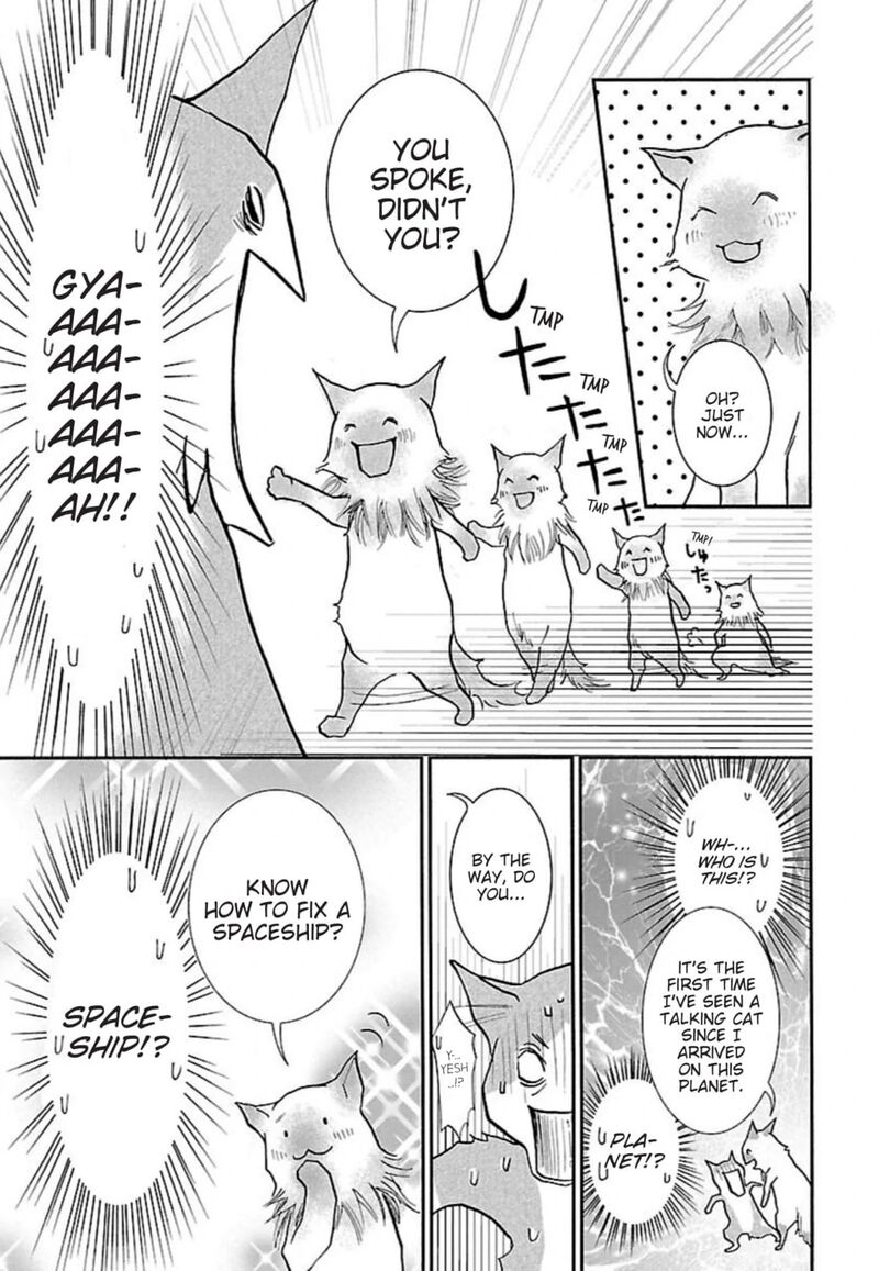 E No Shima Waikiki Shokudou 41 3