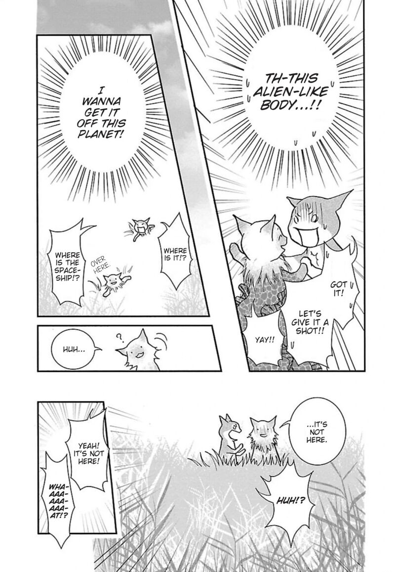 E No Shima Waikiki Shokudou 41 7