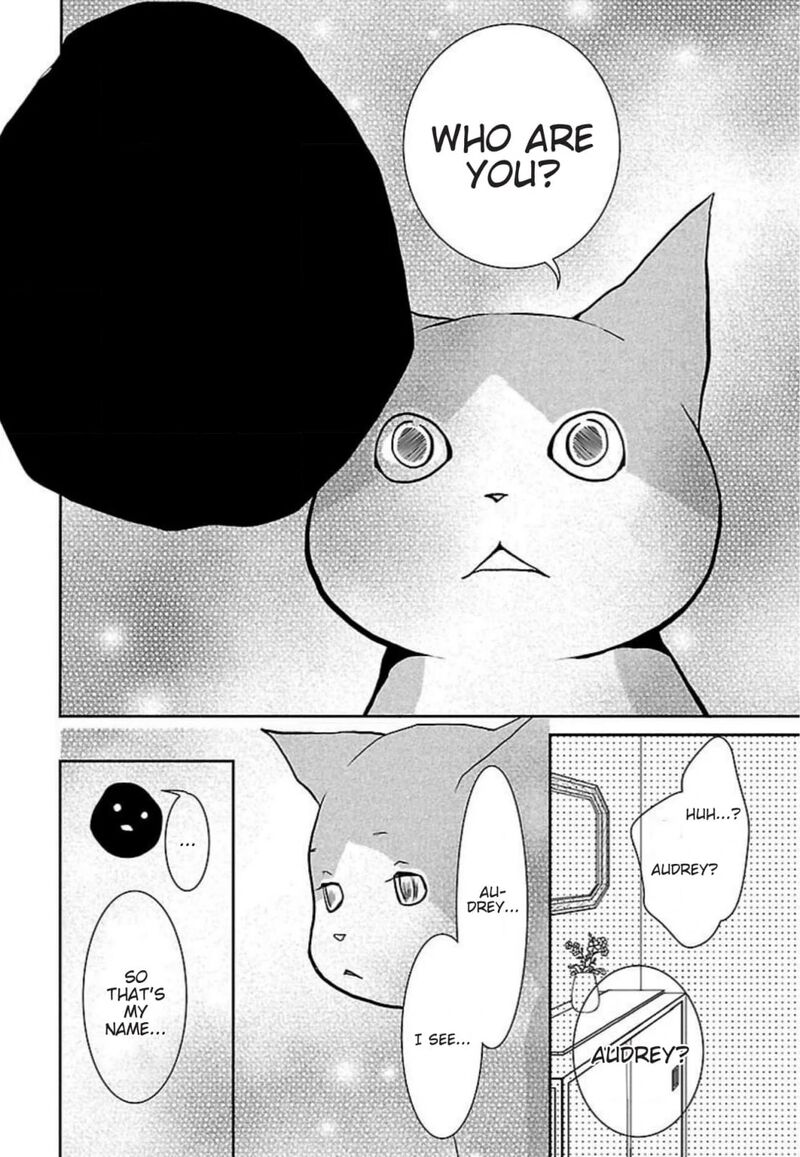 E No Shima Waikiki Shokudou 48 20