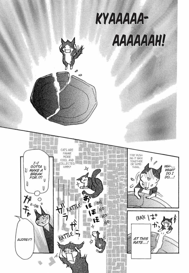 E No Shima Waikiki Shokudou 5 8