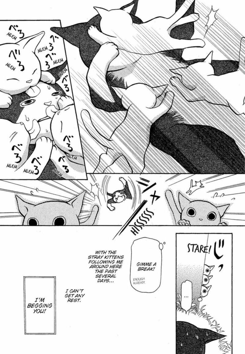 E No Shima Waikiki Shokudou 6 6