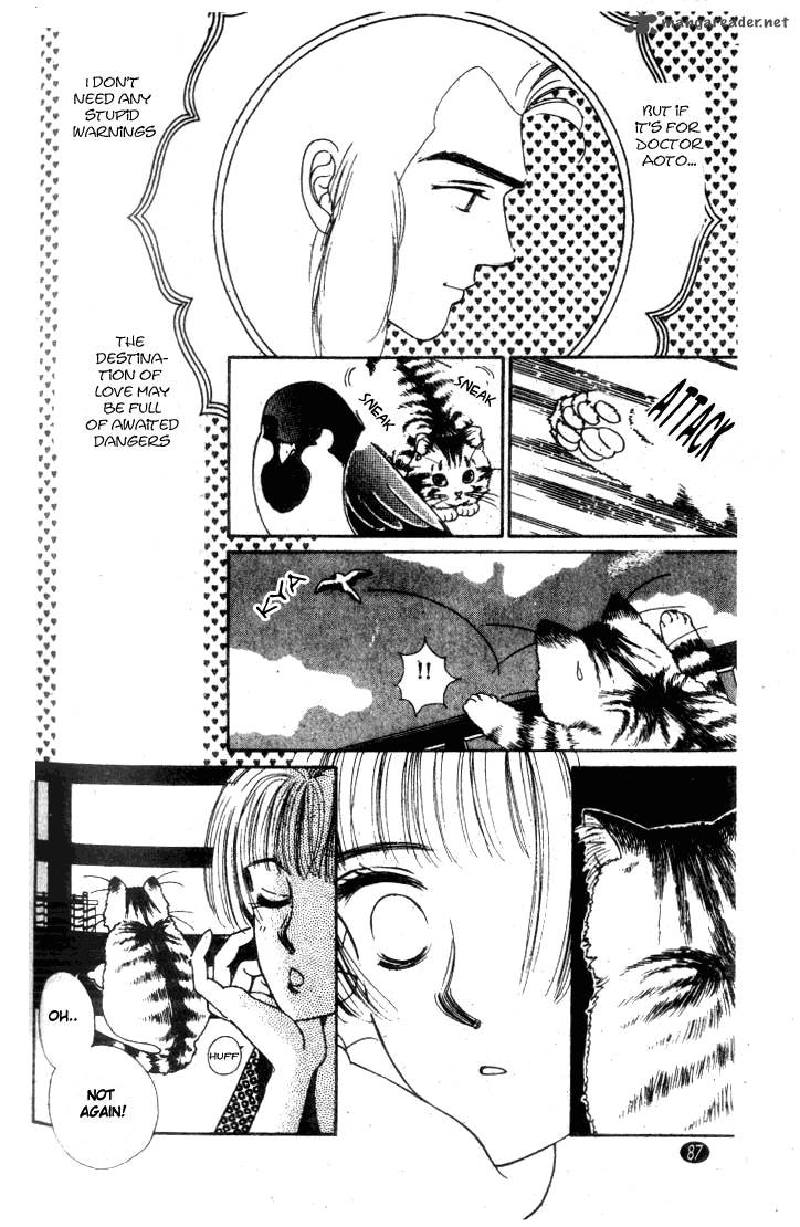 Edo Never Sleeps 3 14