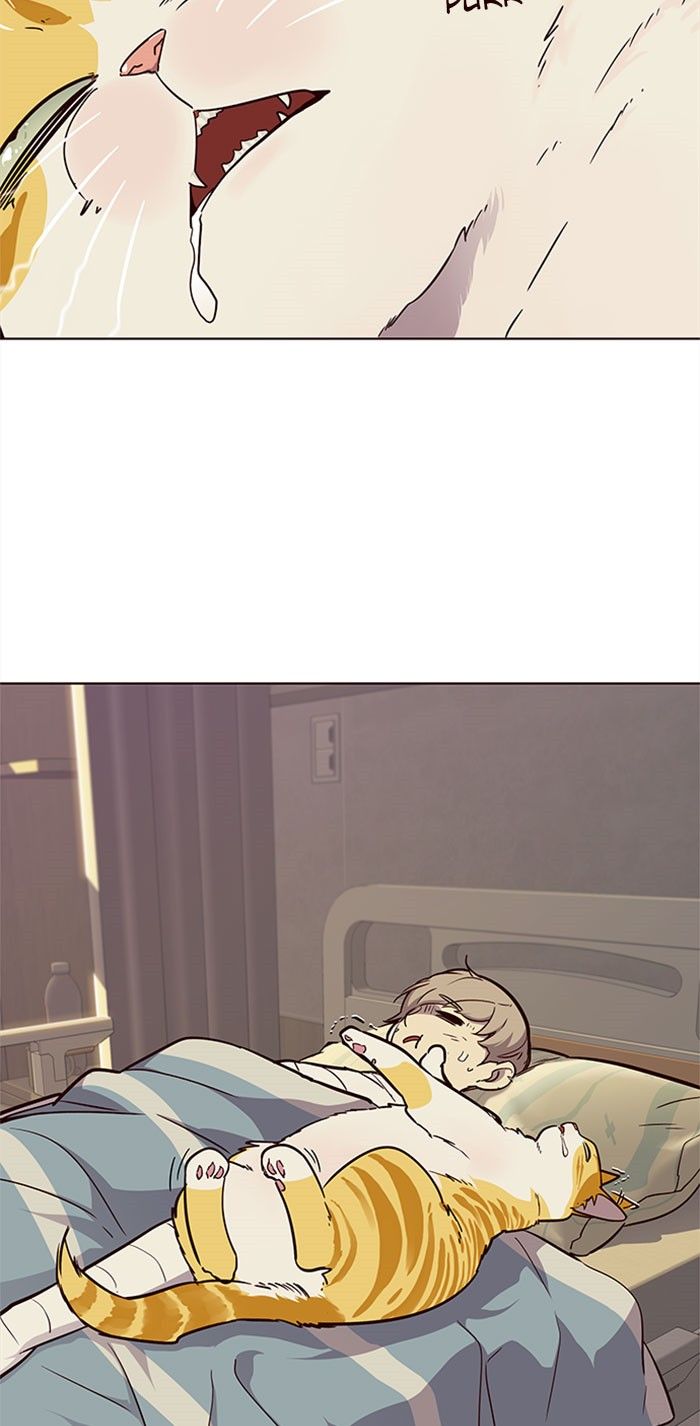 Eleceed 30 80