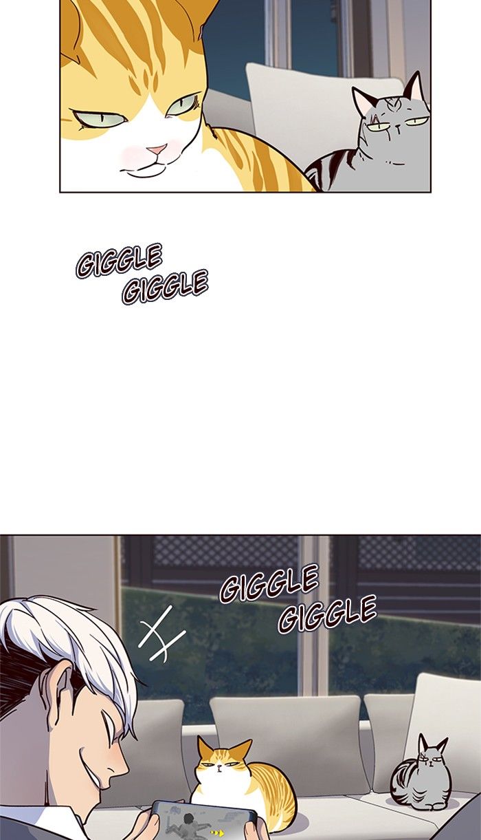 Eleceed 40 61