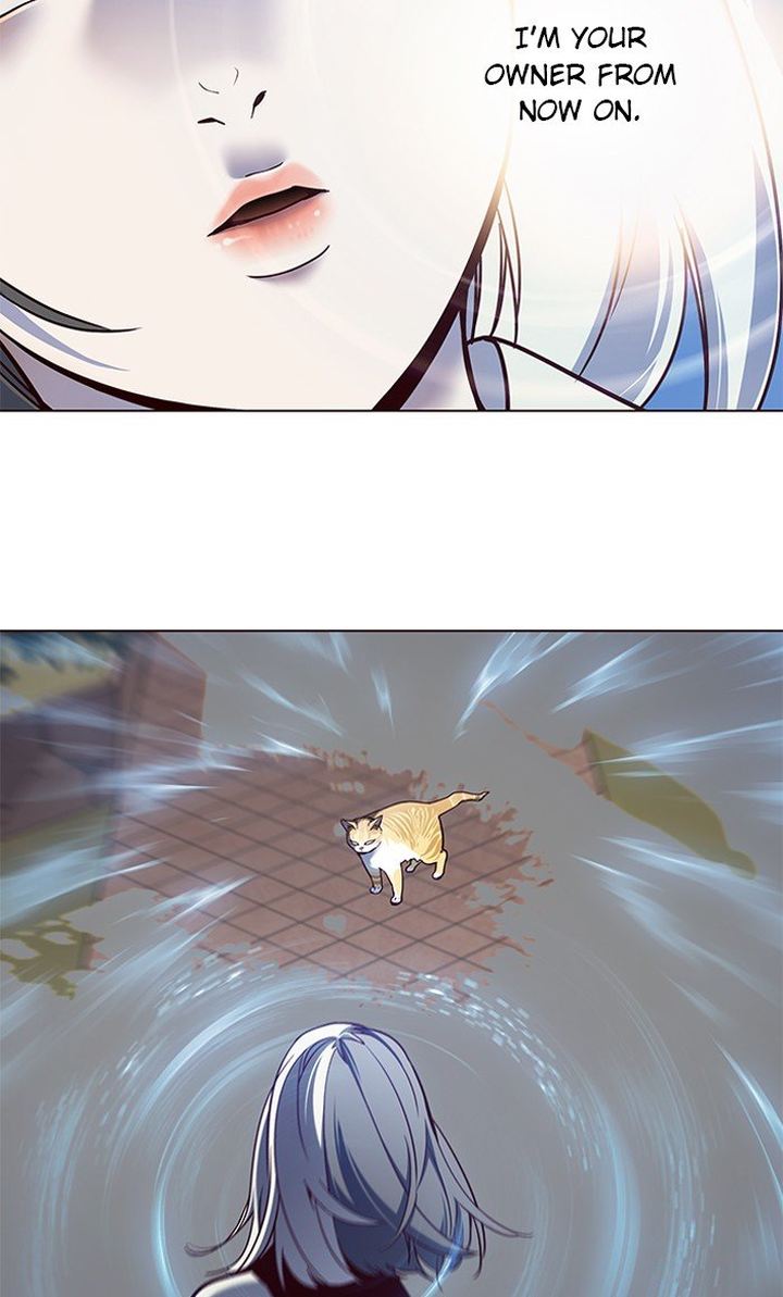 Eleceed 80 70